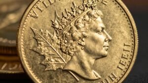 Gold Maple Leaf coin detail